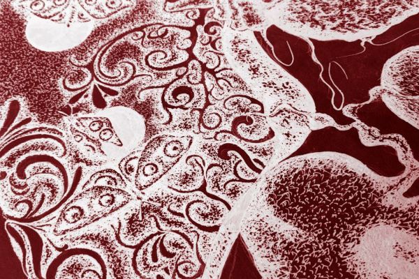 Картина к проекту 1