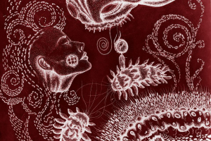 Картина к проекту 2