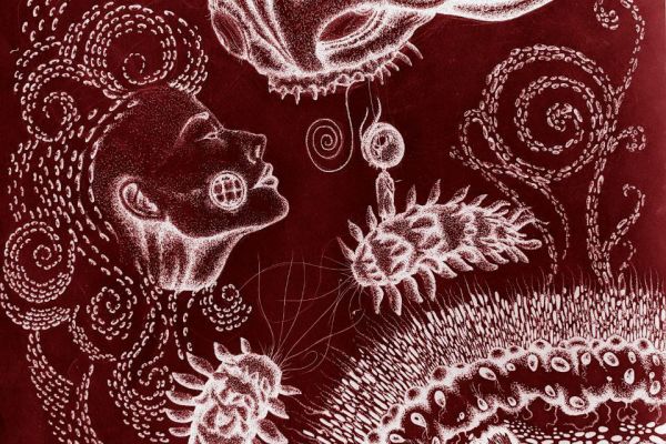 Картина к проекту 2