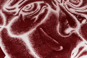 Картина к проекту 4