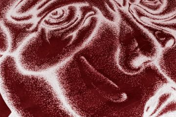 Картина к проекту 4