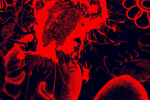 Картина к проекту 5