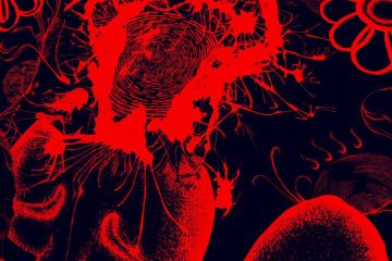 Картина к проекту 5