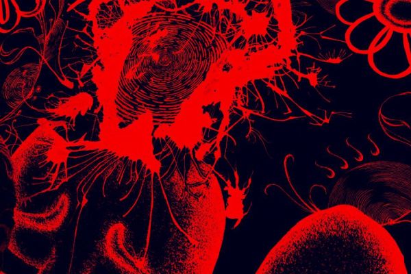 Картина к проекту 5