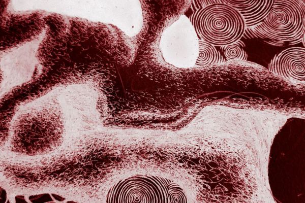 Картина к проекту 6