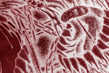 Картина к проекту 6