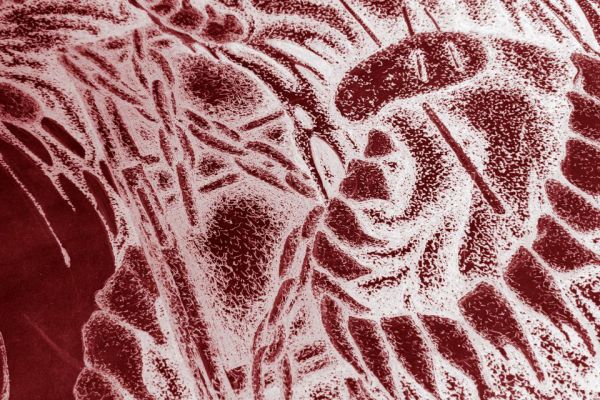 Картина к проекту 6