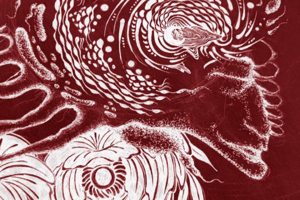 Картина к проекту 7