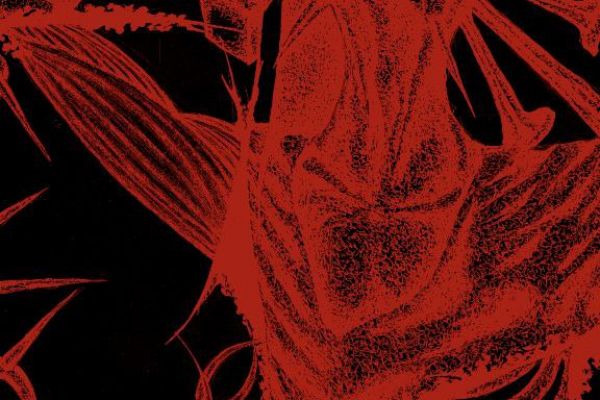 Картина к проекту 8