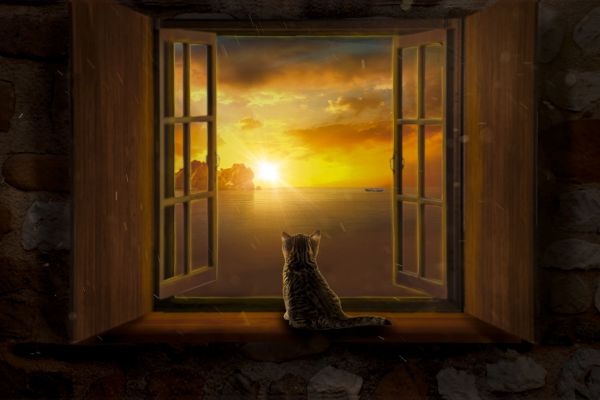 Создание арта