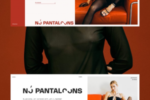 Интернет-магазин для бренда «No pantaloons»