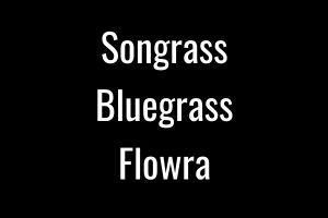 songrass