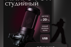 Инфографика Микрофон