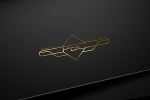 логотип для бизнес клуба