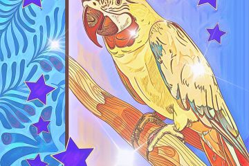 ПОПУГАЙ И ЗВЕЗДЫ