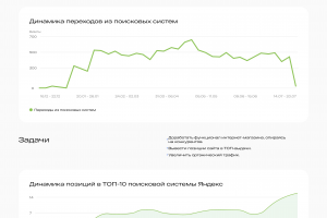 SEO Микролиз