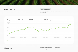 SEO Промышленный комплекс “Каменка”