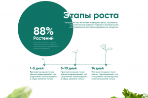 Веб-разработка, разработка сайта