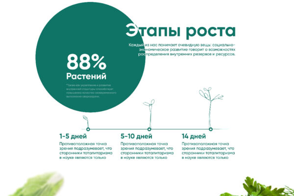 Pina Salata (дизайн сайта).jpg