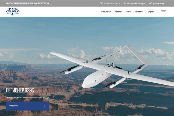 Тихие крылья