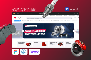 Разработка интернет-магазина Autopiter для крупнейшего федерального ритейлера автозапчастей с каталогом в 500 млн+ позиций и расширенной системой логистики