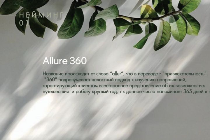 Профессиональный Подбор Названий с Фокусом на Регистрацию + регистрация т.з - 5621968