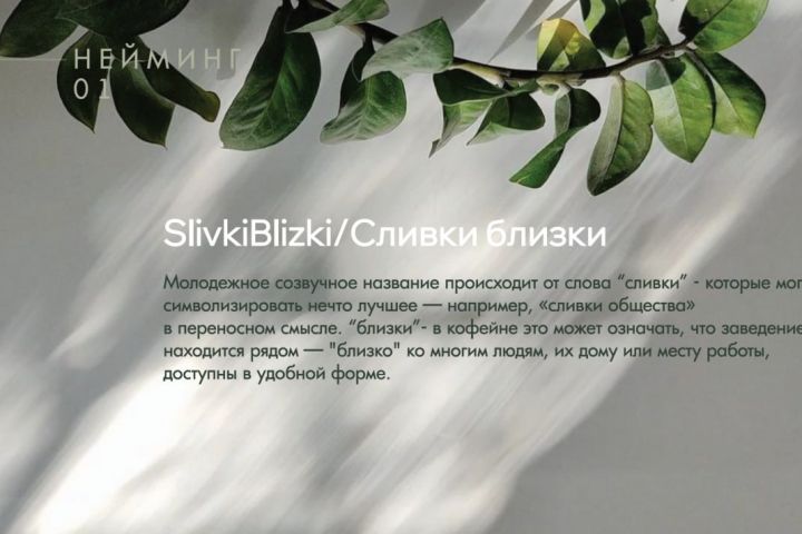 Профессиональный Подбор Названий с Фокусом на Регистрацию + регистрация т.з - 5621969