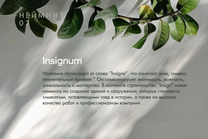 Профессиональный Подбор Названий с Фокусом на Регистрацию + регистрация т.з - 5621970