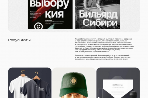 Дизайн/Айдентика/Фир. стиль Бильярд Сибири