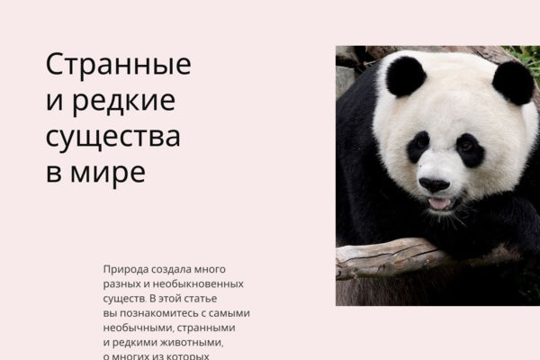 Статья для сайта о животных