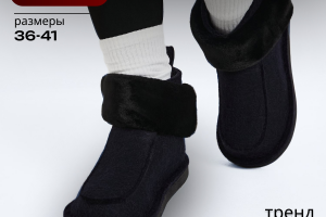 Инфографика