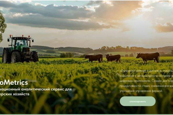 MooMetrics — сайт и упаковка SaaS-проекта для аналитики и метрик роста бизнеса