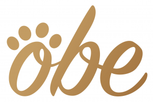 Бэкенд для умного устройства OBE ProBowl