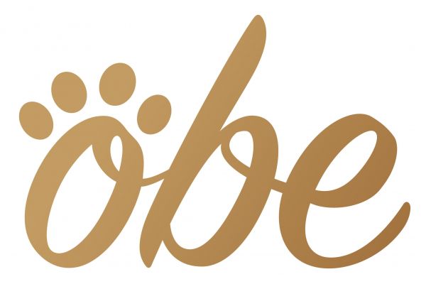 Бэкенд для умного устройства OBE ProBowl