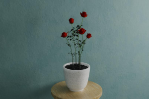 Анимация роста и цветения роз (Процедурная анимация)