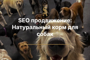 SEO продвижение: Натуральный корм для собак