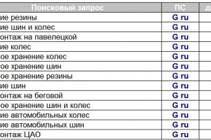 Продвижение сайта по хранению шин в Москве