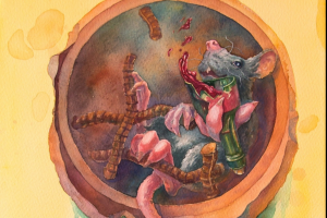 Иллюстрация