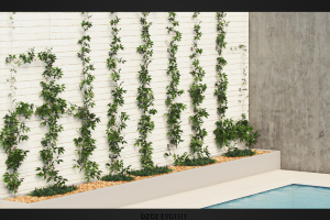 Бассейн озеленение