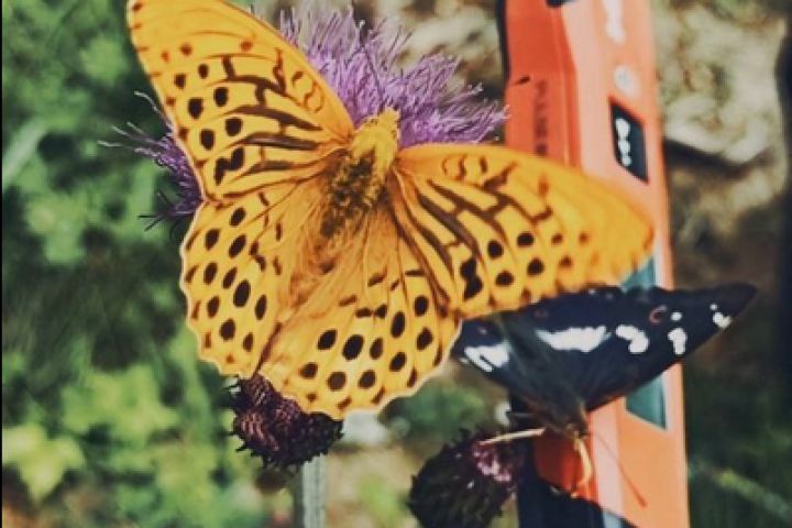 Авторский надзор (архитектурное сопровождение строительства) - 5626321