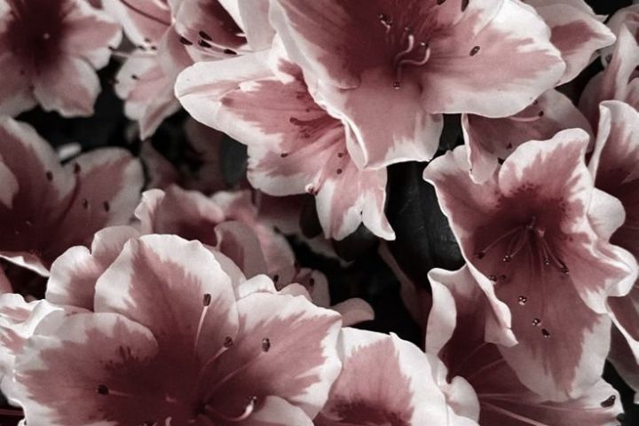 Редактор текстов