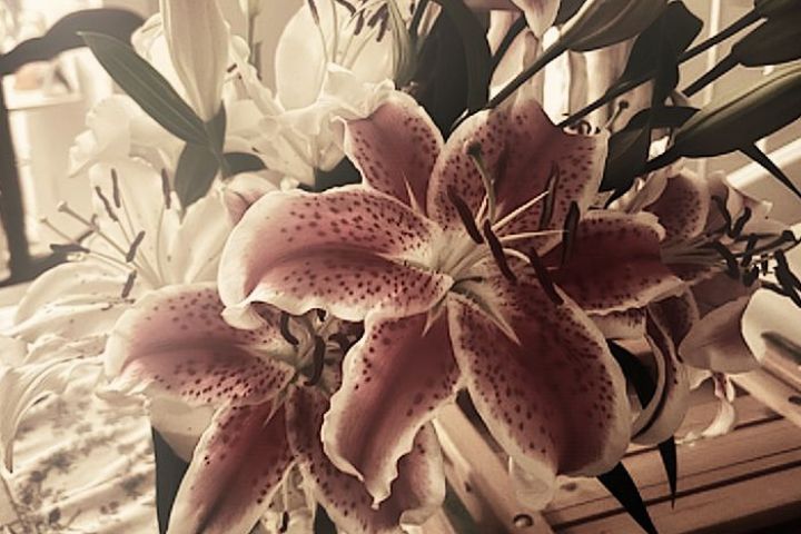 Переводчик текстов