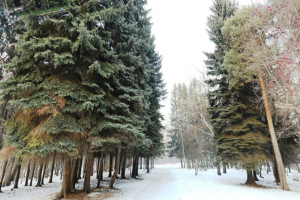 3D-Тур сайт с визуализацией по Дендрапарку