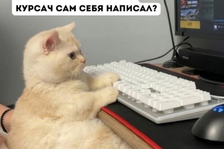 Консультации студентов гуманитарных наук