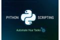 Напишу скрипт на Python для автоматизации задач