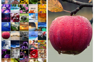 Визуальный дневник 1.0