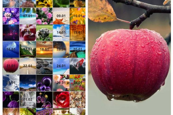 Визуальный дневник 1.0