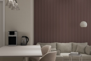 Кухня-гостиная