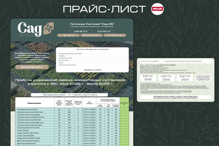 Дизайн прайс-листа в PDF - 5632477