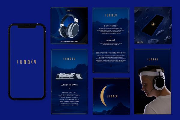 Создание фирменного стиля для Lunacy стримера  Buster